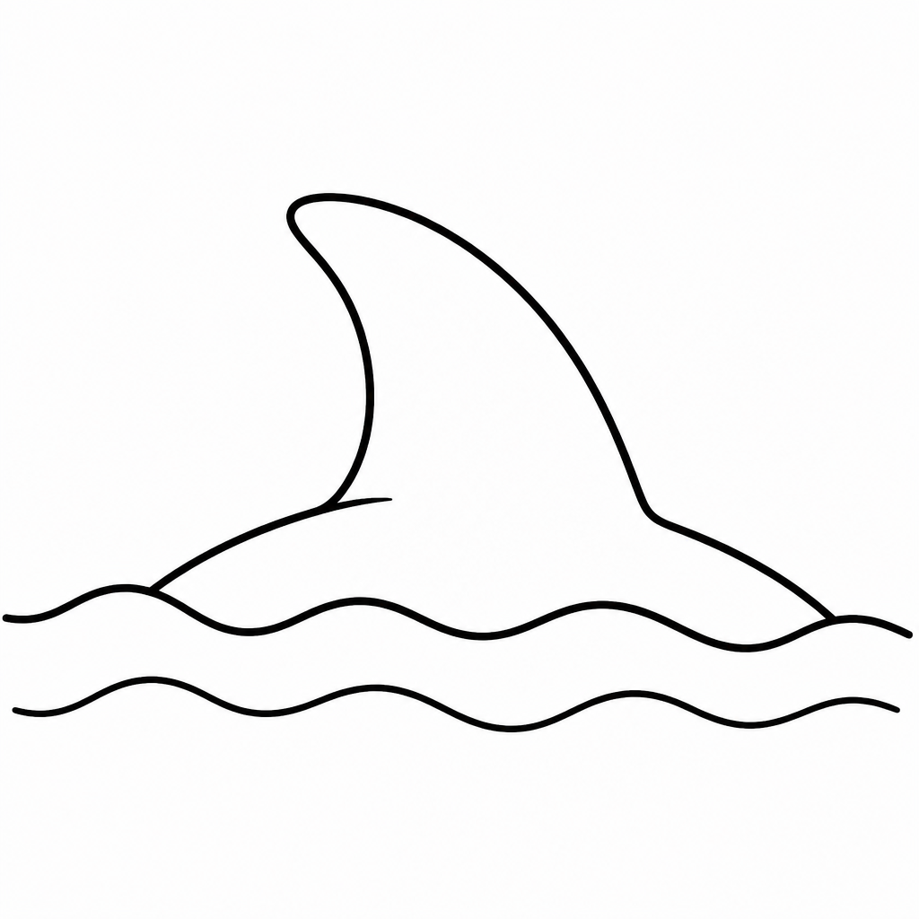 fin 涂色