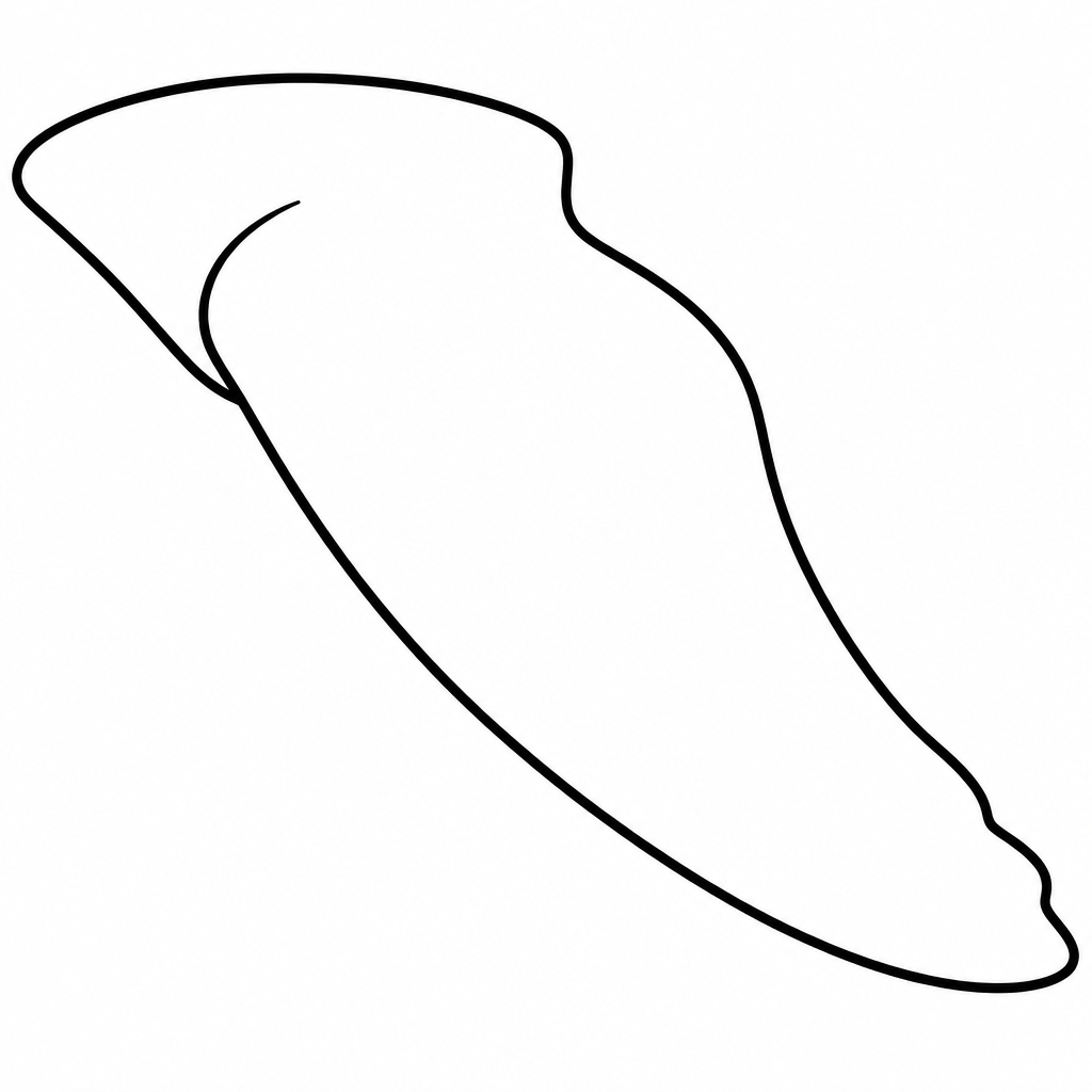 flipper 涂色